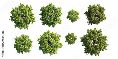 Set of green trees viewed from above for architectural design and landscape planning