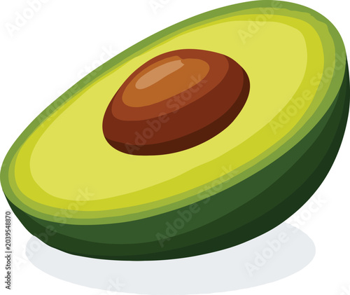 Avocado vector art