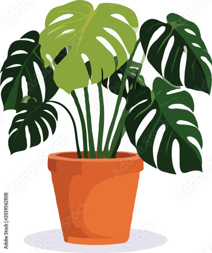 Pot Plant isolated on white 