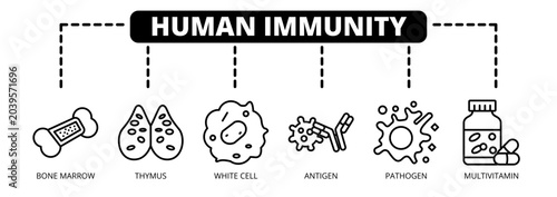 Bilde på lerret Human Immunity web banner icon vector illustration concept with icons of bone marrow, thymus, white cell, antigen, pathogen, and multivitamin