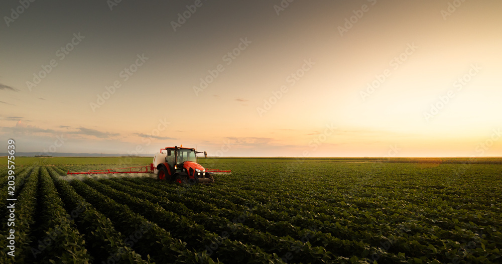 Fototapeta premium Modern agriculture tractor spraying crops in soybean field