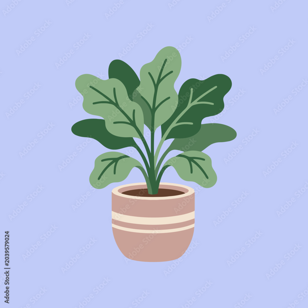 Obraz premium A simple green houseplant sits inside a decorative ceramic pot