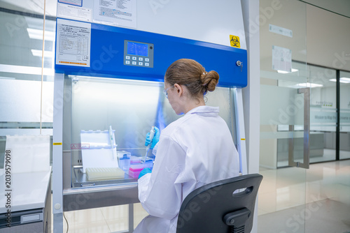 Scientist working in a biosafety cabinet with pipettes and test tubes