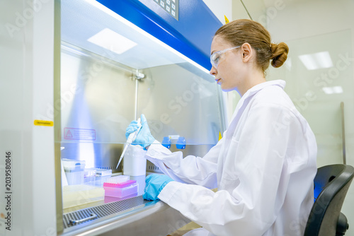Fotografie Scientist working with pipette inside a sterile biological safety cabinet