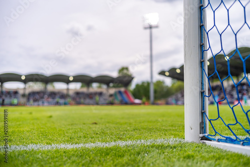 Картината върху платно Close-up of soccer goalpost and net with white field line, stadium and crowd in background, real sports action atmosphere