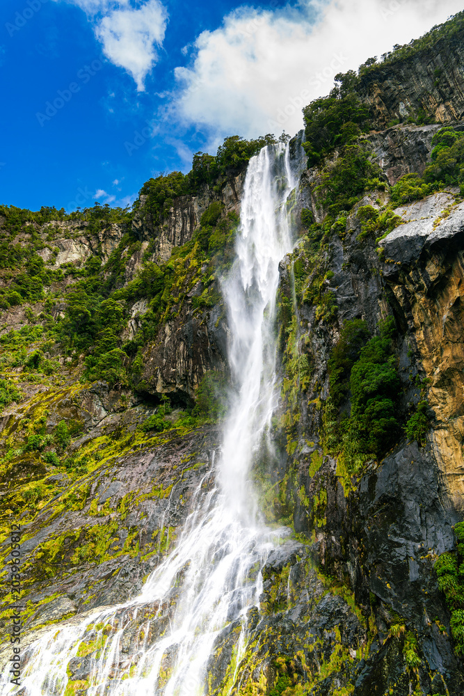 Obraz premium Milford Sound, New Zealand