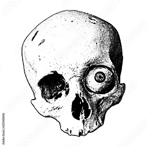 Illustration of human skull with single eye detail in vintage style skeleton illustration engraving monochrome isolated forensics pathology structure historical scientific symbolic