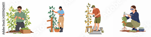 Tableau sur toile Set of agricultural researchers and farmers performing various tasks with soybean plants, such as harvesting, data recording, and scientific measurement