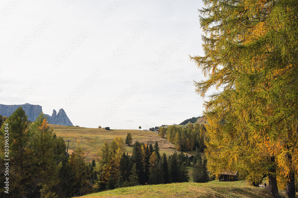 Obraz premium autumnal alpine landscape inside the Dolomites, Italy