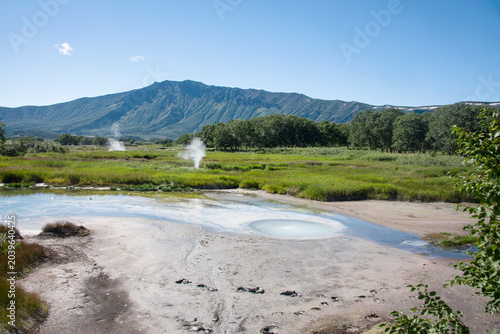 Tableau sur toile There are traces of bear in the mud