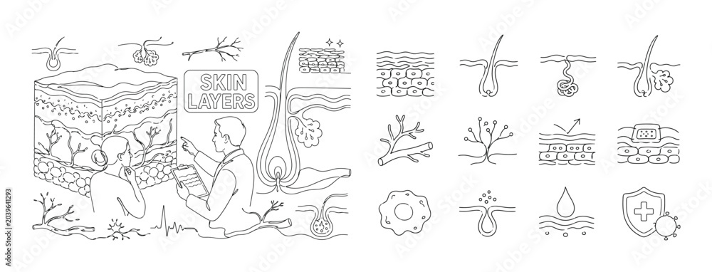 Obraz premium Skin Anatomy Layers. Banner composition with 1 dermatologist and 1 patient examining skin structure across the full wide canvas, one oversized skin layer diagram and one oversized hair follicle