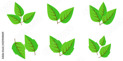 Fotografie Leaf illustration in flat style, green leaves, nature theme, forest, garden and trees