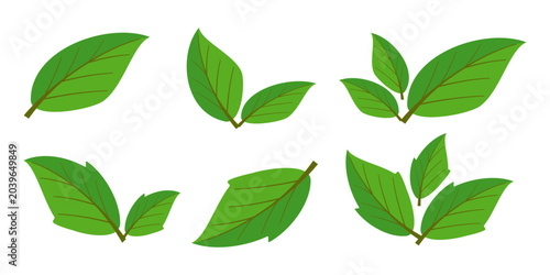 Tablou pe pânză Leaf illustration in flat style, green leaves, nature theme, forest, garden and trees