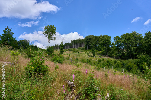Beautiful view of summer green mountains in clear weather.