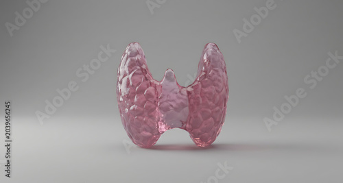 Pink Translucent Thyroid Gland Anatomical 3D Model