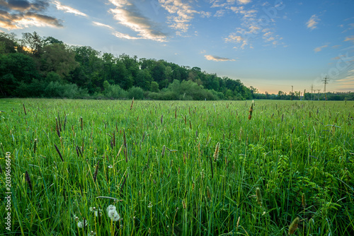 Photos Dramatic cloudy sky over a wide peaceful river during late summer evening, with the dark calm water capturing the moody colors of the horizon and distant green forest lines