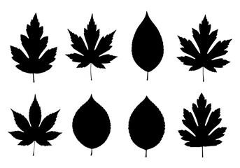 Black holiday holly leaves and berries icon set