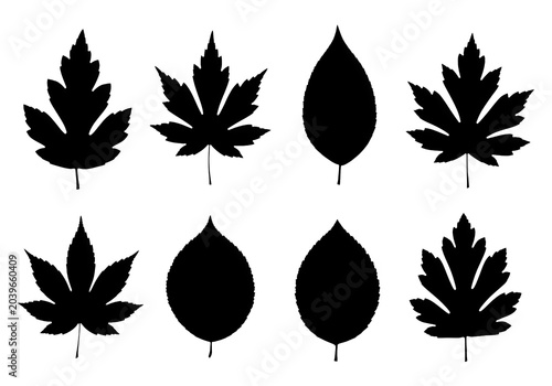 Black holiday holly leaves and berries icon set