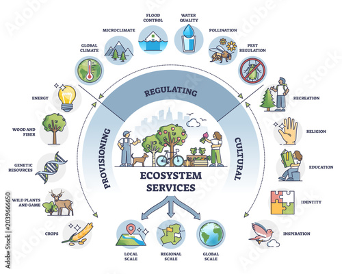 Canvas Print Provisioning, regulating and cultural services division outline diagram, transparent background