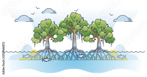 Schilderij op canvas Mangrove trees with underwater roots system as tropical plant outline concept, transparent background