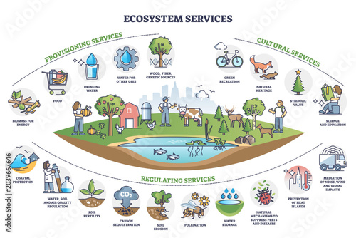 Bild auf Leinwand Ecosystem services with subdivision categories collection outline diagram, transparent background