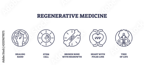 Photography Regenerative medicine icons depict healing hand, stem cell, and heart with pulse line, transparent background
