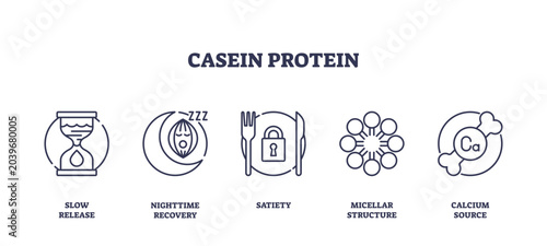 Valokuva Casein protein icons depict slow release, nighttime recovery, satiety, micellar structure, and calcium source, transparent background