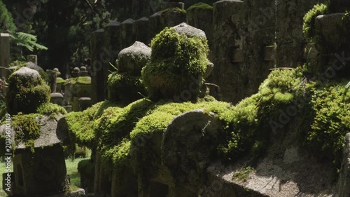Moss-Covered Stone Lantern at Okunoin, Koyasan – UNESCO World Heritage, Wakayama, Japan　世界遺産・高野山奥之院「苔むした石燈籠」和歌山県高野町