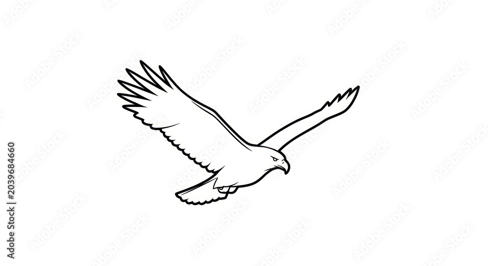 Fototapeta premium Flying eagle line art illustration