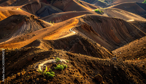 Rugged desert landscape at sunset with dramatic shadows across rolling hills and sparse vegetation