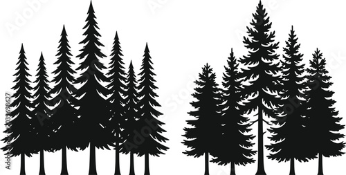 Canvastavla Evergreen forest silhouette featuring pine and fir tree groups with varied heigh