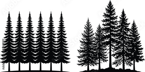 Bild auf Leinwand Evergreen tree silhouette featuring symmetrical uniform pine group and natural v