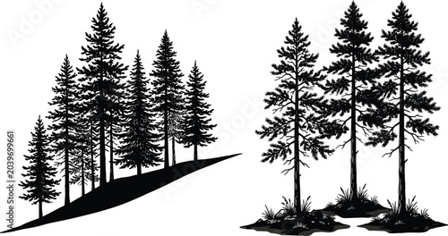 Fotografie Scenic pine tree silhouette featuring elevated hillside cluster and flat ground
