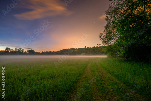 Slika na platnu Soft evening mist settling over a grassy field next to a large tree, with a warm, glowing sky at dusk transitioning into night