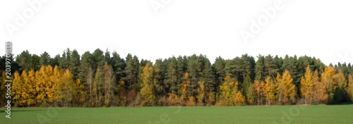 Panel kuchenny z motywem Landscape with forest and trees in autumn colours, isolated on white and transparent background