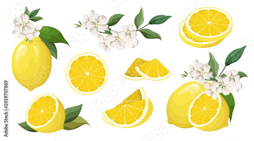 Set of ripe lemons with flowers on a white background. Summer fruits. Vector illustration.
