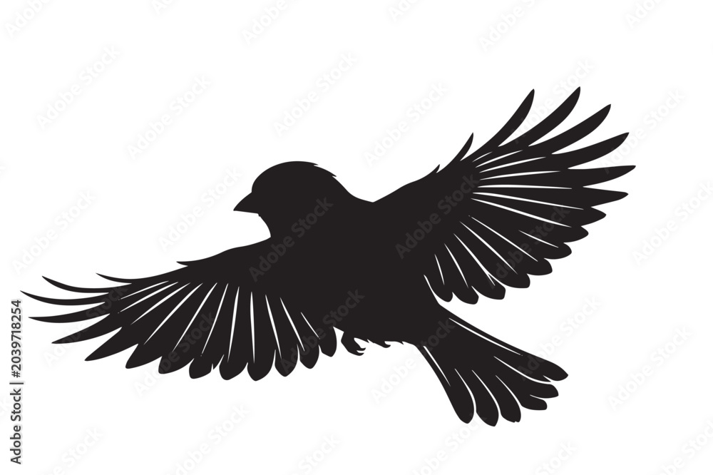 Fototapeta premium Flying American Goldfinch Bird Silhouette Isolated Finches Graphic Element