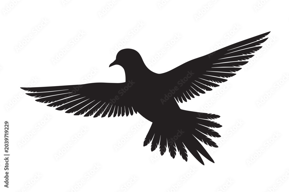 Obraz premium Flying Mourning Dove Silhouette Isolated Pigeon and Dove Graphic Element