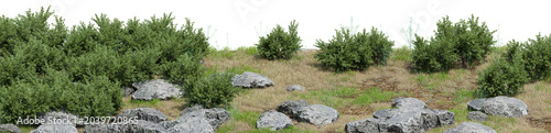 Green bushes and rocks on a grassy hill isolated on transparent background, realistic cutout landscape element for architectural 3d rendering and digital garden design, PNG File