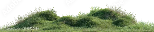 Panel kuchenny z motywem Green grass mounds isolated on a transparent background, realistic lawn hill turf PNG cutout element for architectural rendering and digital landscape designn, 3D rendering