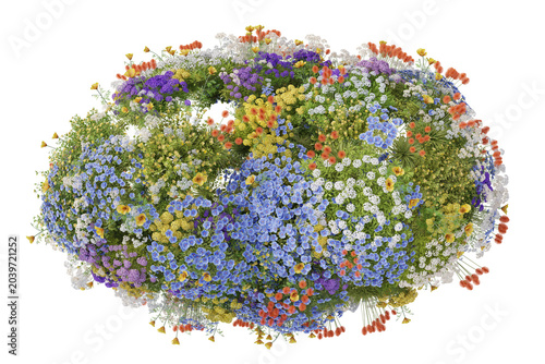 Top view of colorful wildflower bush isolated on transparet background, realistic blooming flower garden element for architectural 3d rendering and landscape design, PNG file