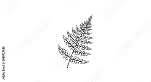 Foto Detailed Black and White Illustration of a Fern Frond.
