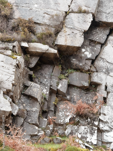 The textured grey rock face is riddled with deep cracks and visible geological layers. Small green plants and reddish-brown dry vegetation cling to its uneven surface.