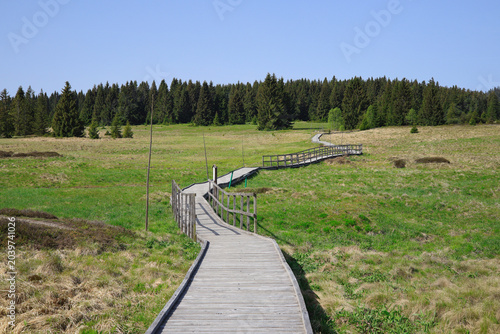 Boží Dar Peat Bog Trail, Bohemian Ore Mountains –
Czech Republic