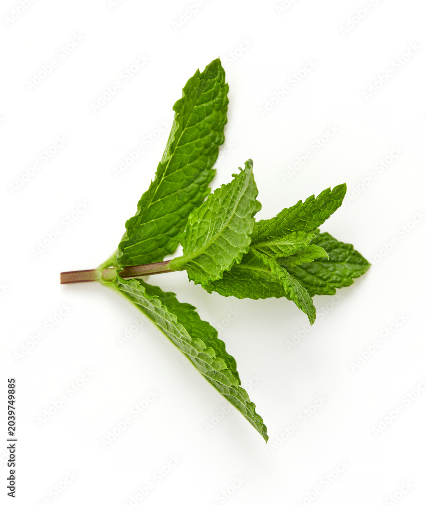 Fototapeta premium Mint leaves isolated on white background