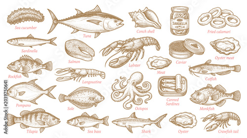 Canvastavla Hand drawn seafood and fish in line art style