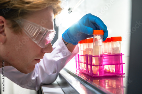 Foto Serious medical scientist concentrating on analyzing dangerous disease samples w