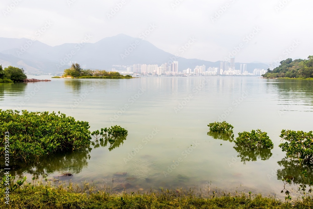 Fototapeta premium Quiet mangrove wetland and bay in the New Territories