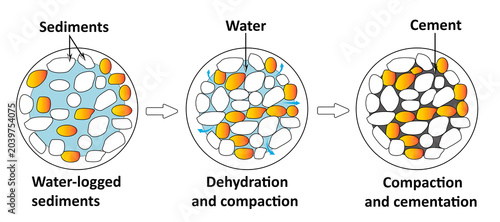 Photos Stages of diagenesis: compaction and cementation of sediments.