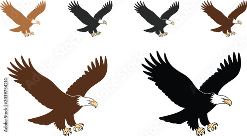 Schilderij op canvas Bald Eagle Vector Illustration Collection with Flying Bird of Prey and Silhouett